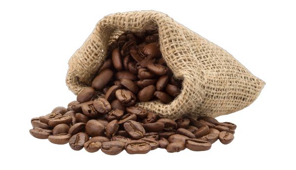 Concentrated coffee in a bottle with cold brew branding