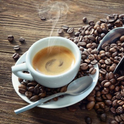 Photo of beautifully
              arranged food