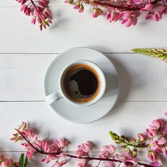 Photo of beautifully
              arranged food