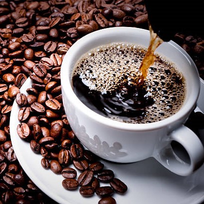 Photo of beautifully
              arranged food